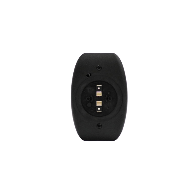 Black wall plate only for SM31 speaker
