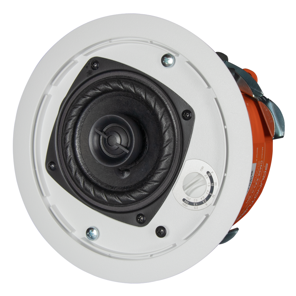 4" 2-way In Ceiling Speaker in Black with Short Can