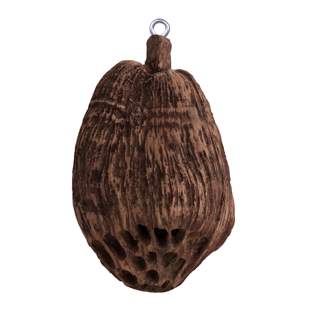 5.25" two-way Outdoor Coconutz Speaker