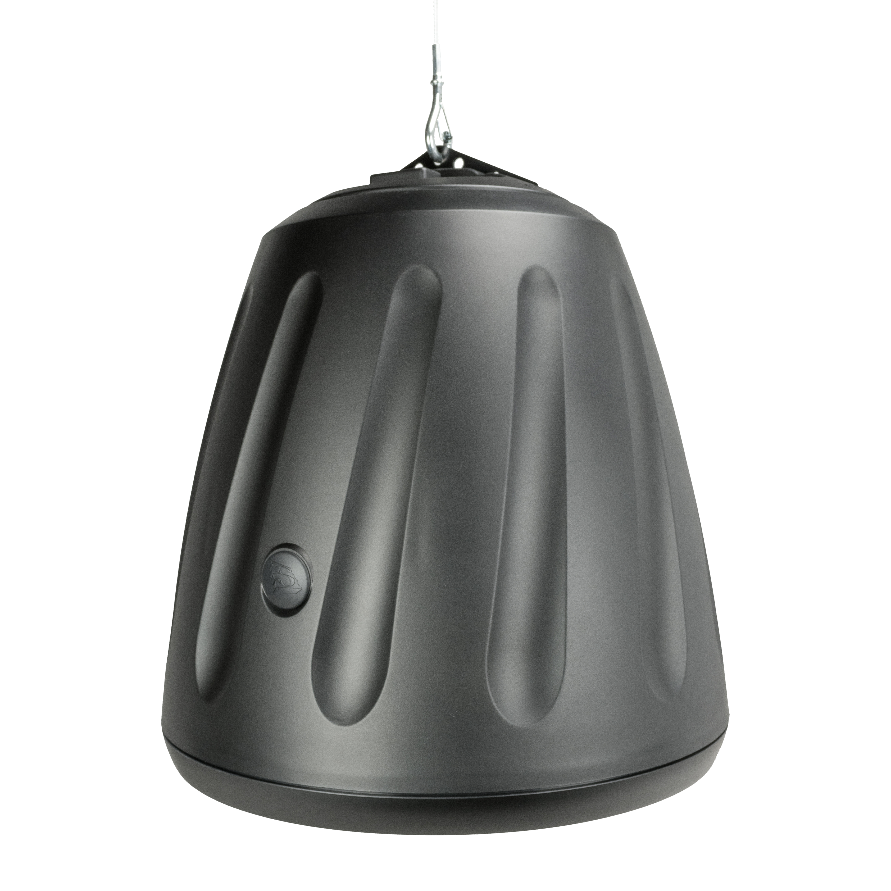 12" 2-Way Hanging Speaker in Black