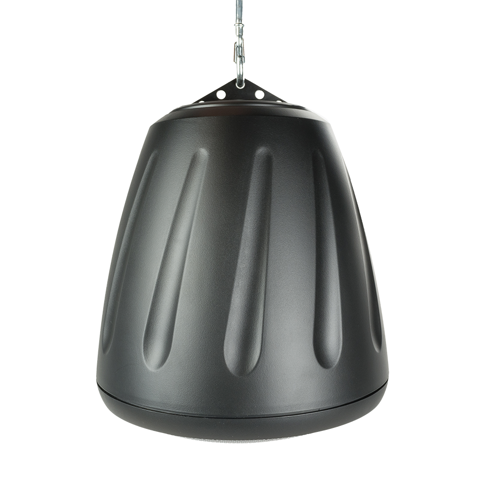 5.25" 2-way Hanging Speaker in Black