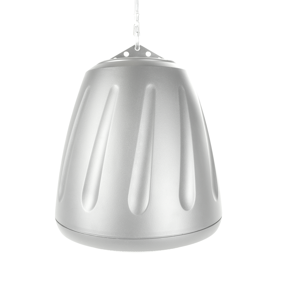 5.25" 2-way Hanging Speaker in White