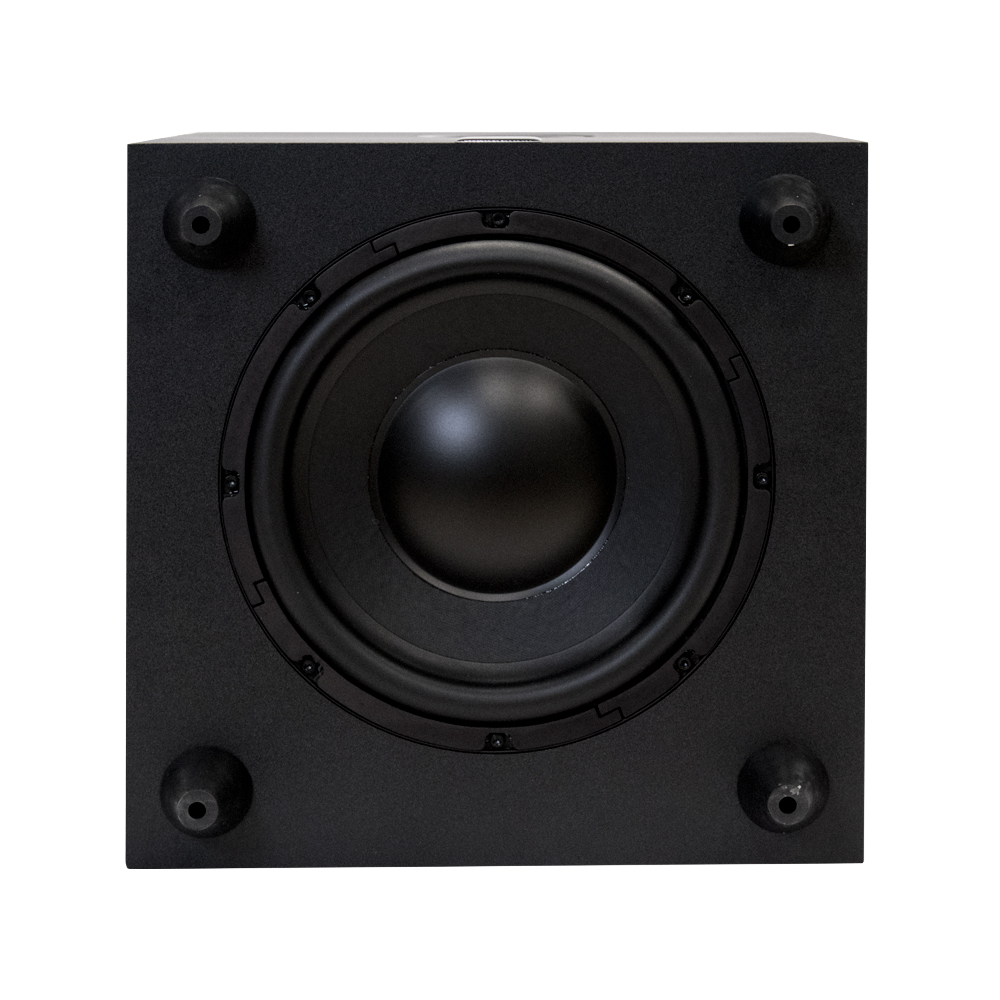 10" Subwoofer