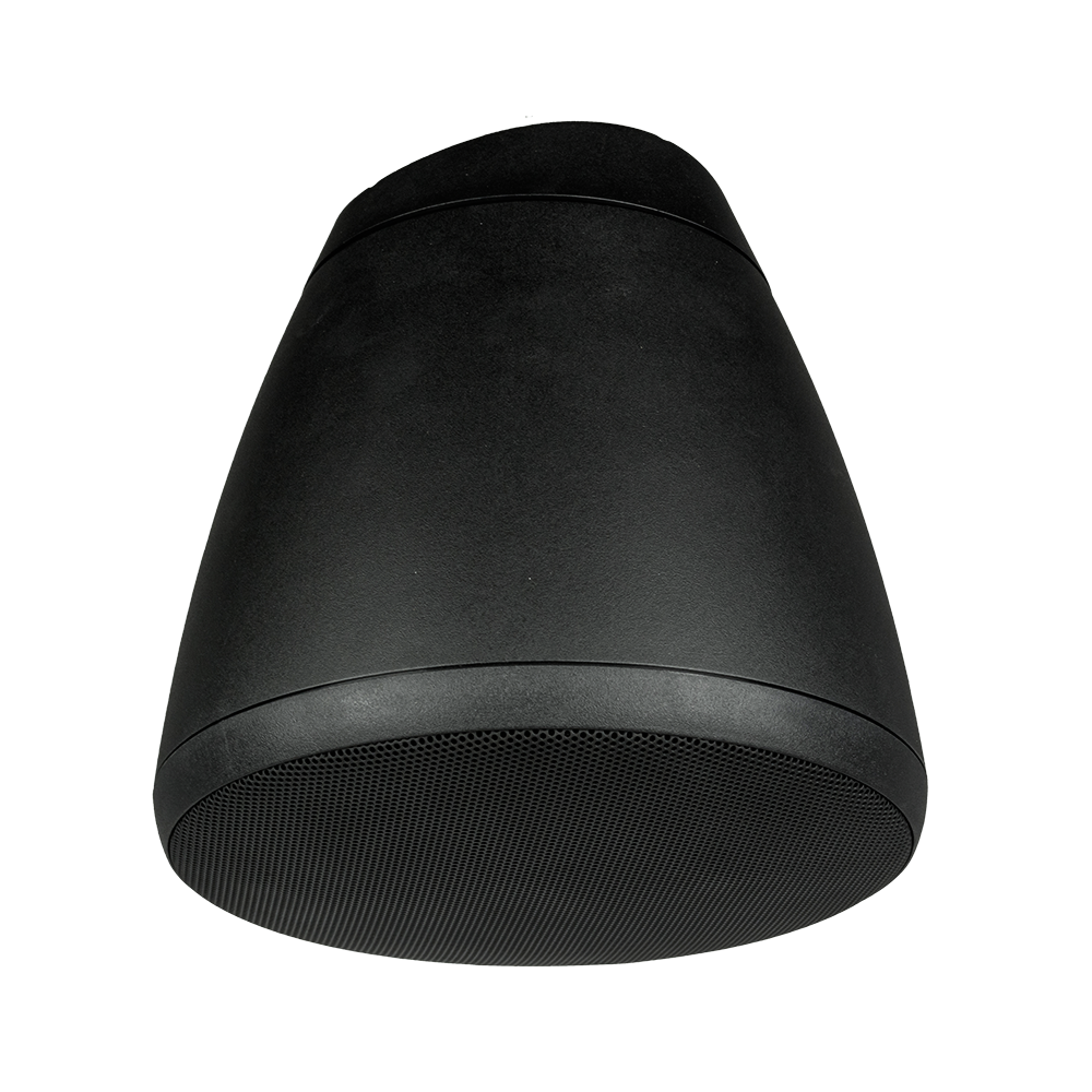 8" IP-Addressable, Dante Addressable, Speaker in Black