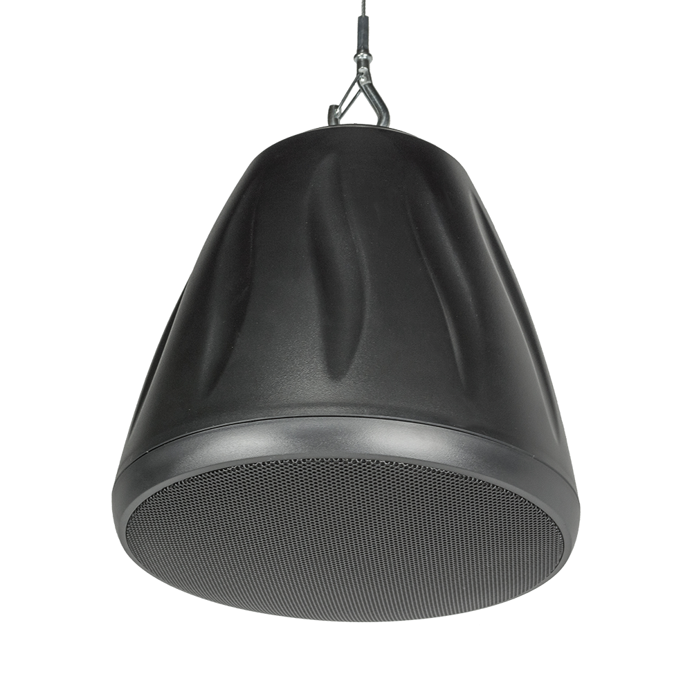 4" Ported Hanging Speaker in Black