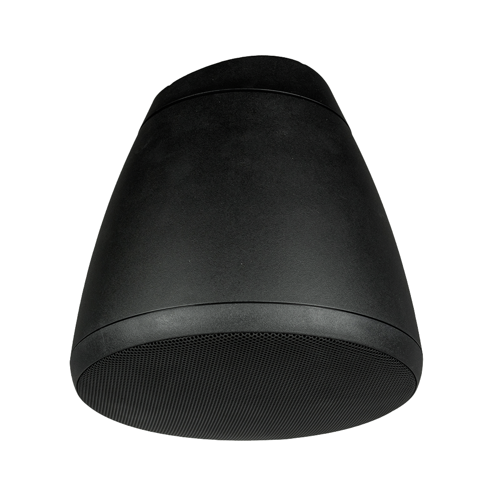 4" Hanging Speaker in Black
