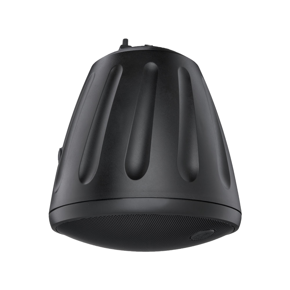 6.5" Hanging Speaker in Black with a BroadBeam Tweeter