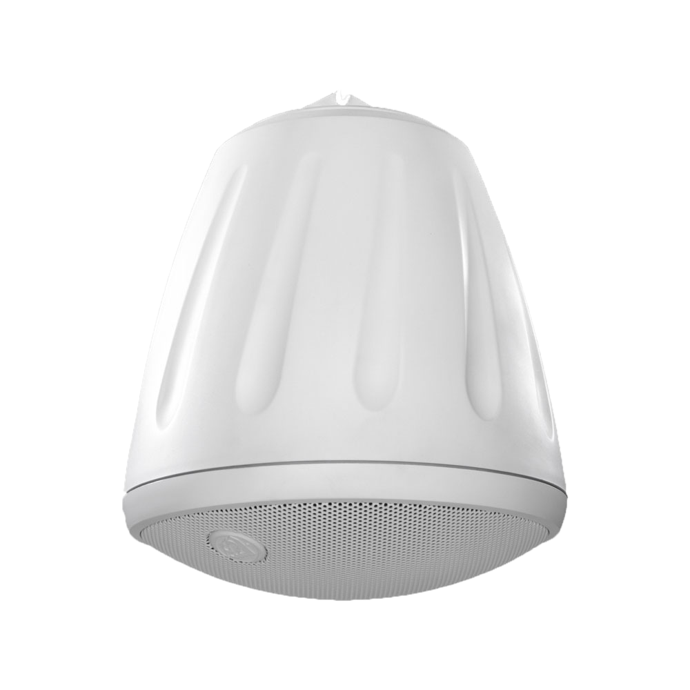 6.5" Hanging Speaker in White with a BroadBeam Tweeter