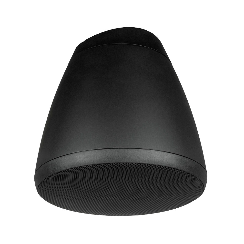 6.5" Hanging Speaker in Black