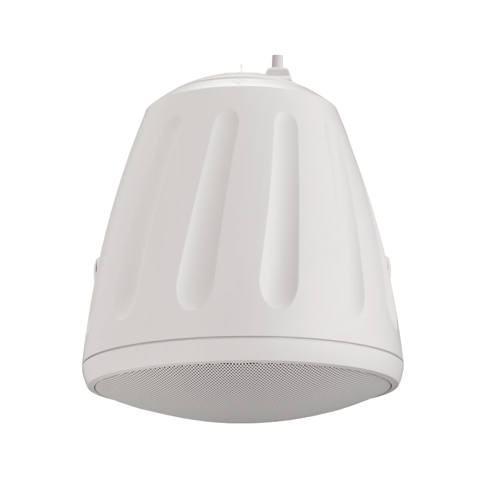 8" Hanging Speaker in White with a BroadBeam Tweeter