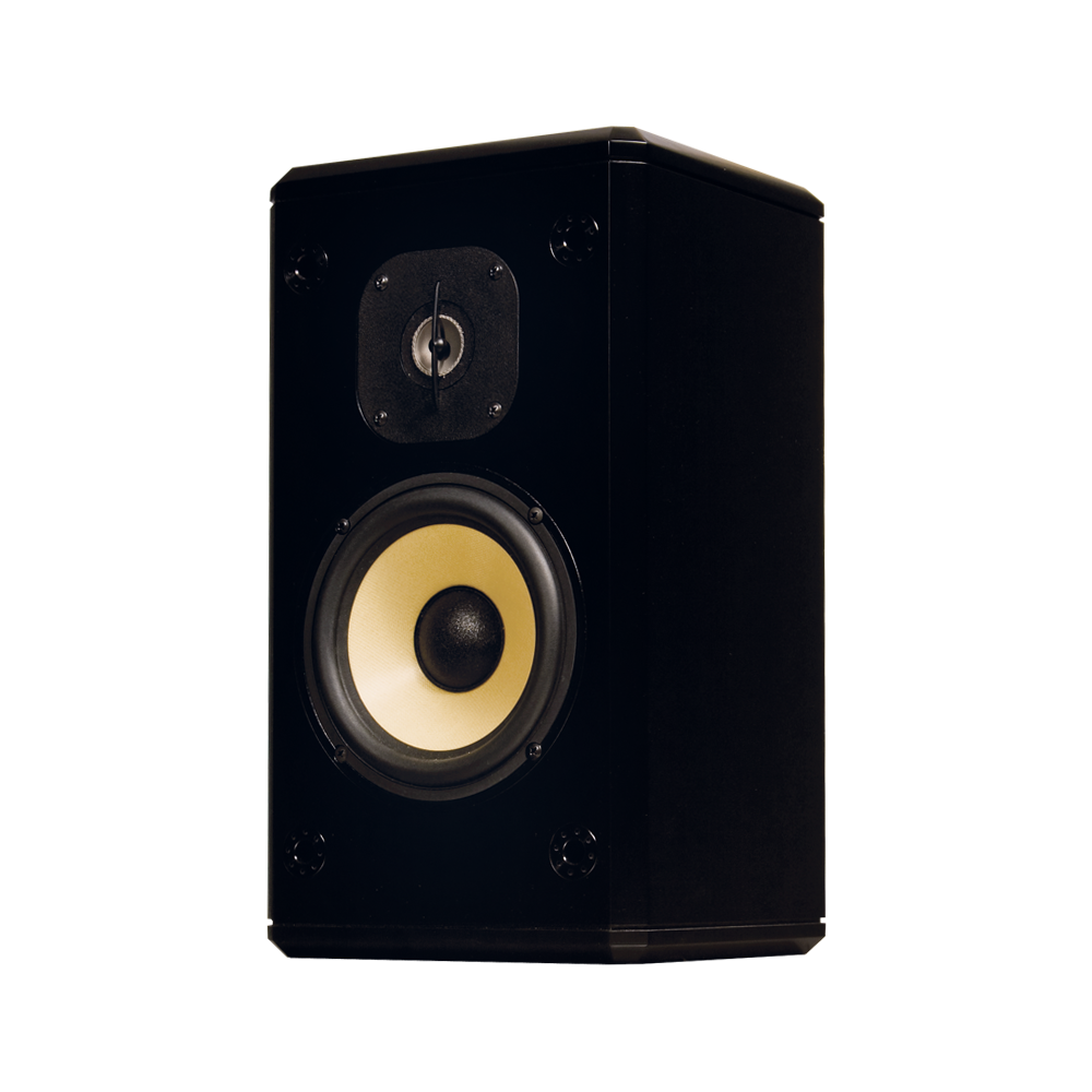 S2 Two-Way Single Loudspeaker in Black Gloss