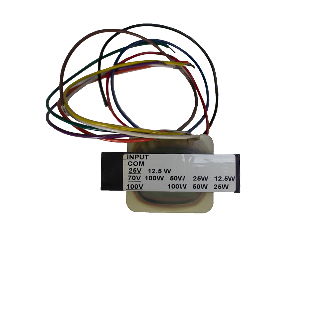 100 Watt Transformer